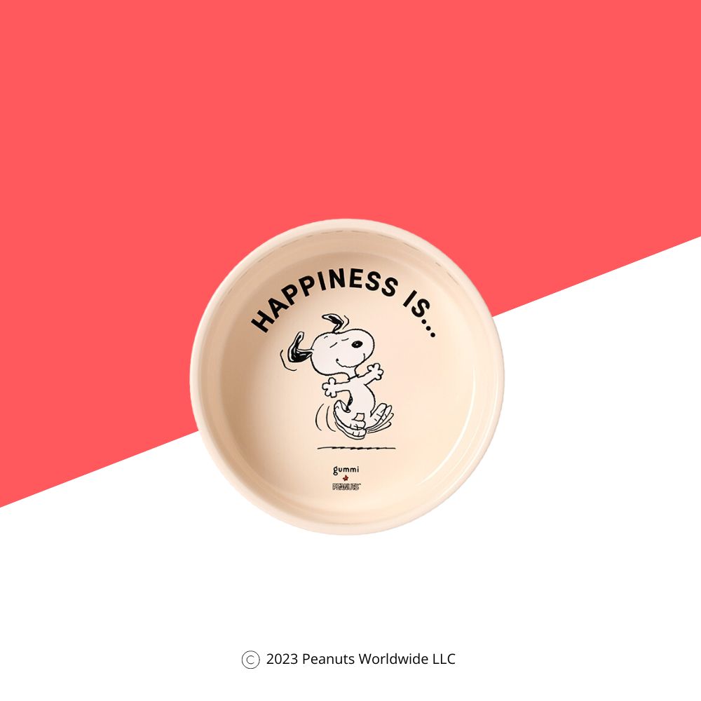 gummi x Peanuts Ceramic Bowl